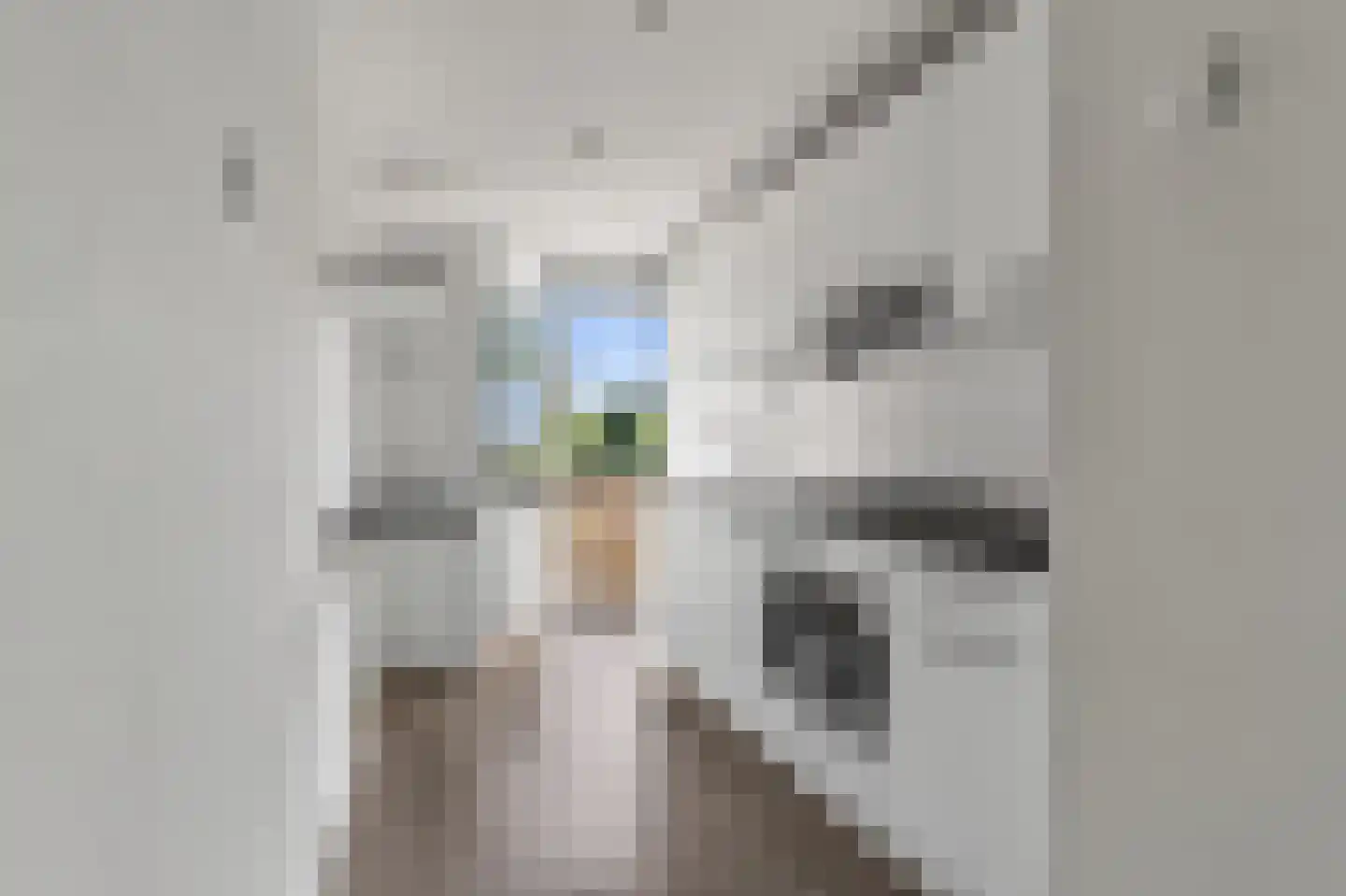 Einsteinlaan 113 Badhoevedorp thumbnail 13