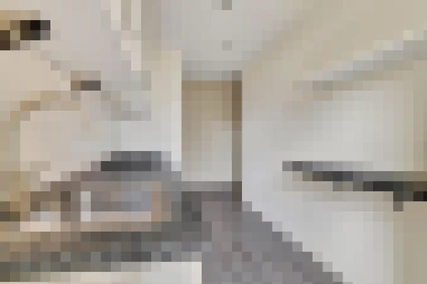 Einsteinlaan 113 Badhoevedorp thumbnail 15