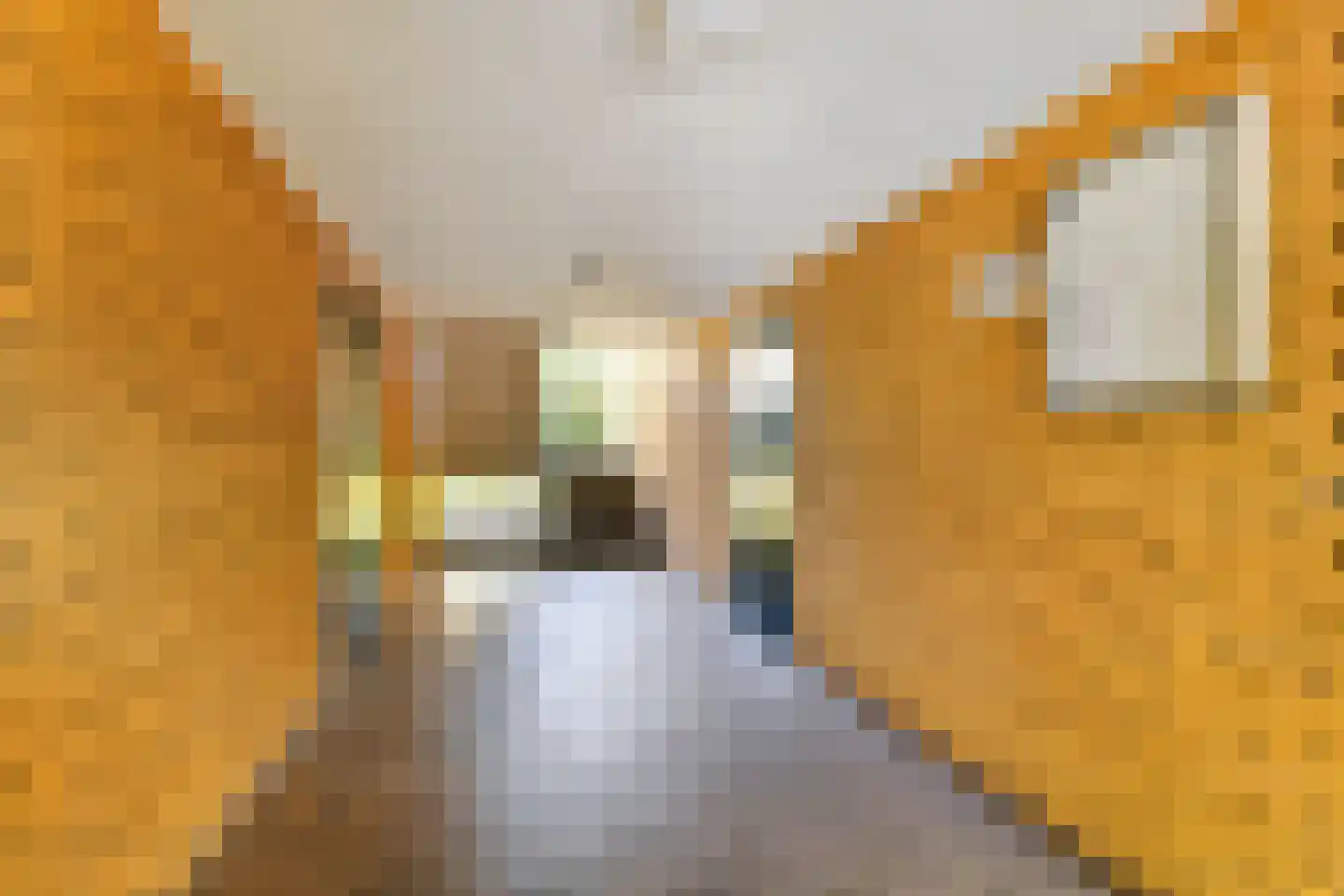 Einsteinlaan 113 Badhoevedorp thumbnail 23