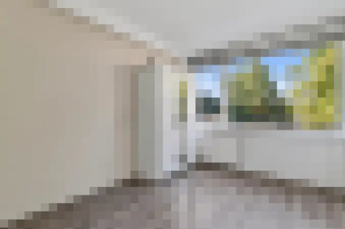 Einsteinlaan 113 Badhoevedorp thumbnail 9