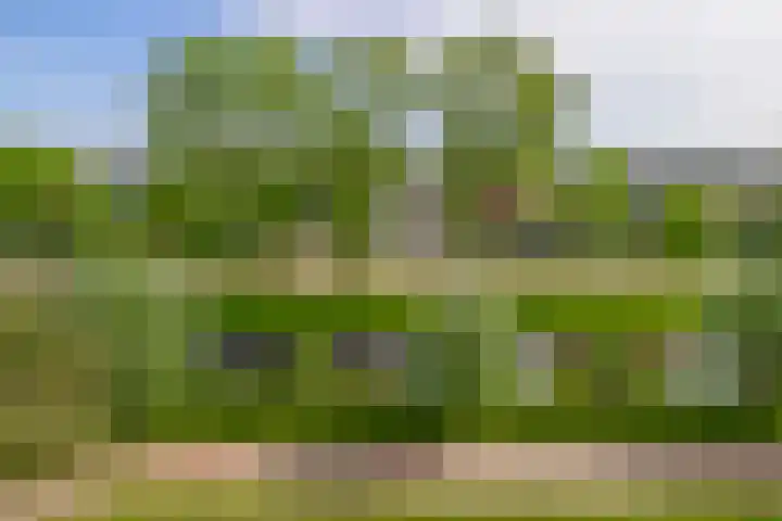 Einsteinlaan 141 Badhoevedorp thumbnail 27