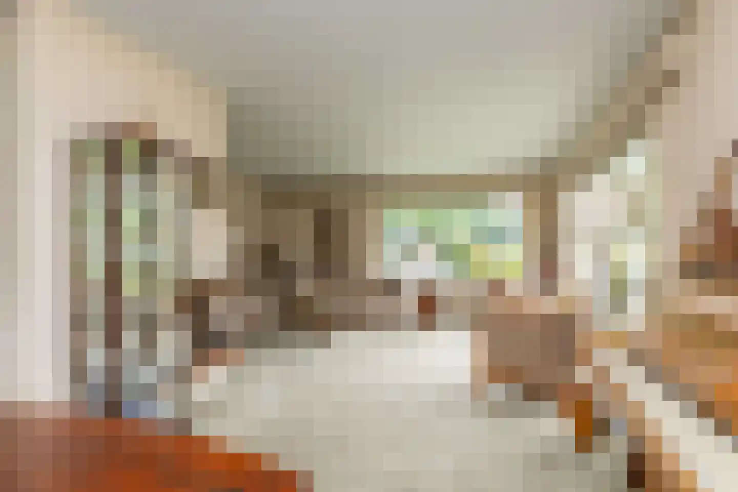 Einsteinlaan 16 Hoogeveen thumbnail 14