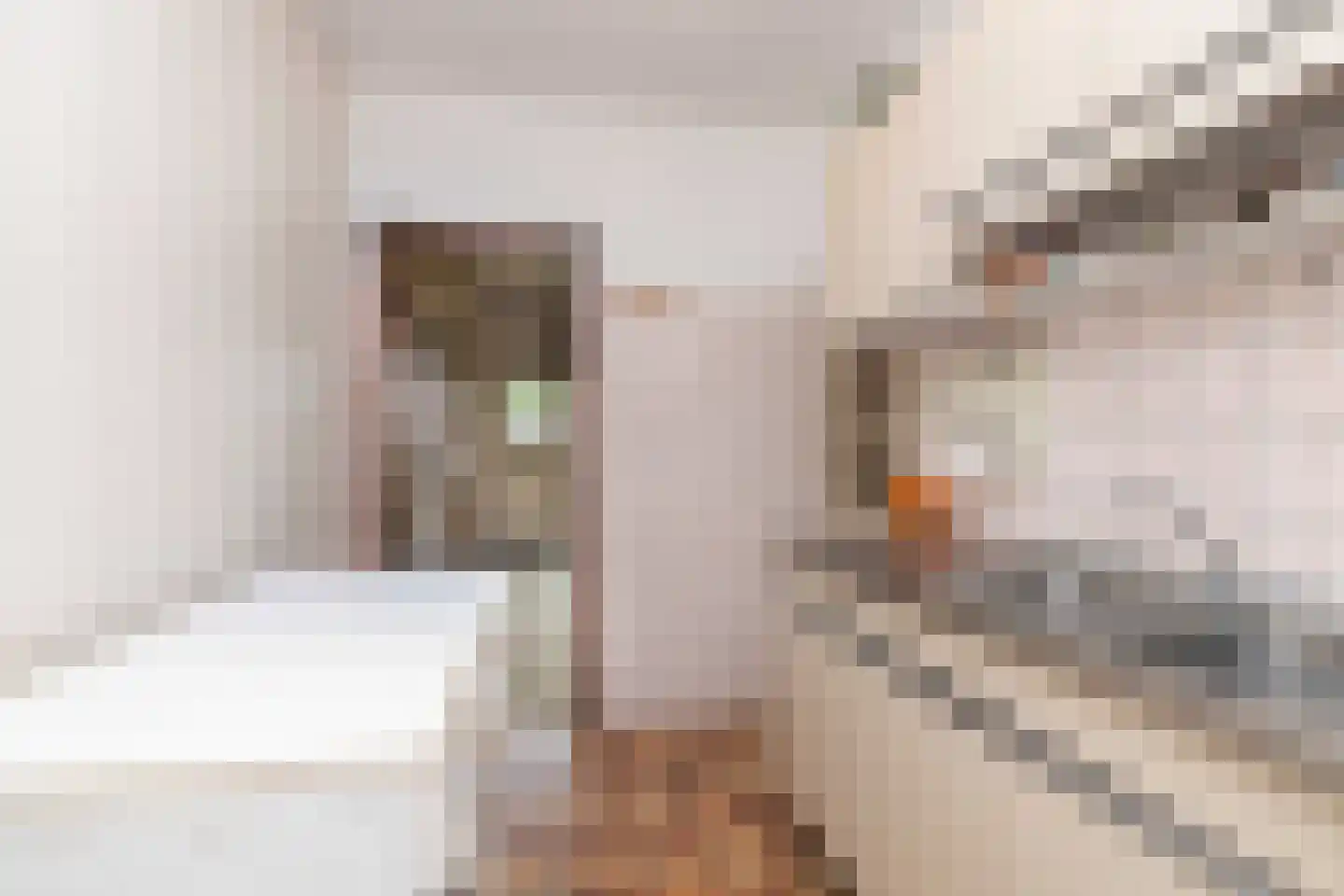 Einsteinlaan 16 Hoogeveen thumbnail 19
