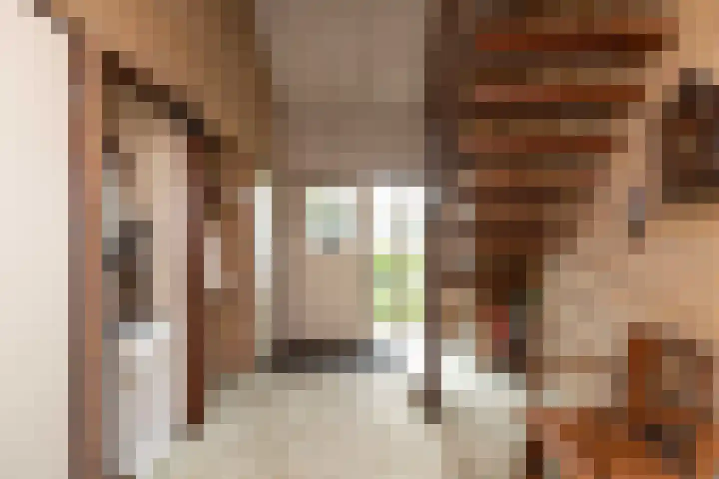 Einsteinlaan 16 Hoogeveen thumbnail 27