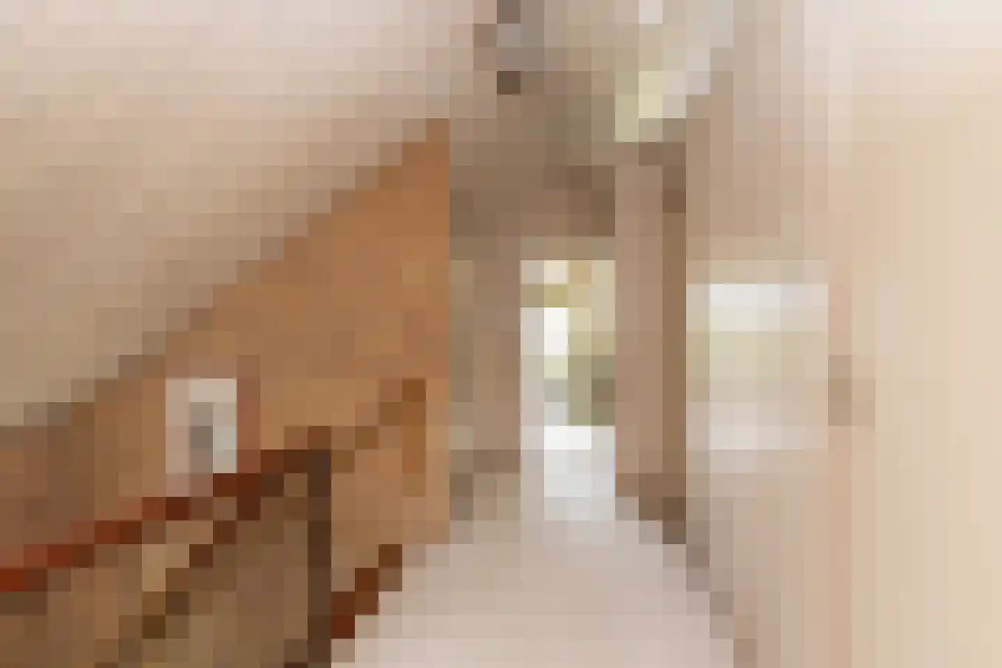 Einsteinlaan 16 Hoogeveen thumbnail 30