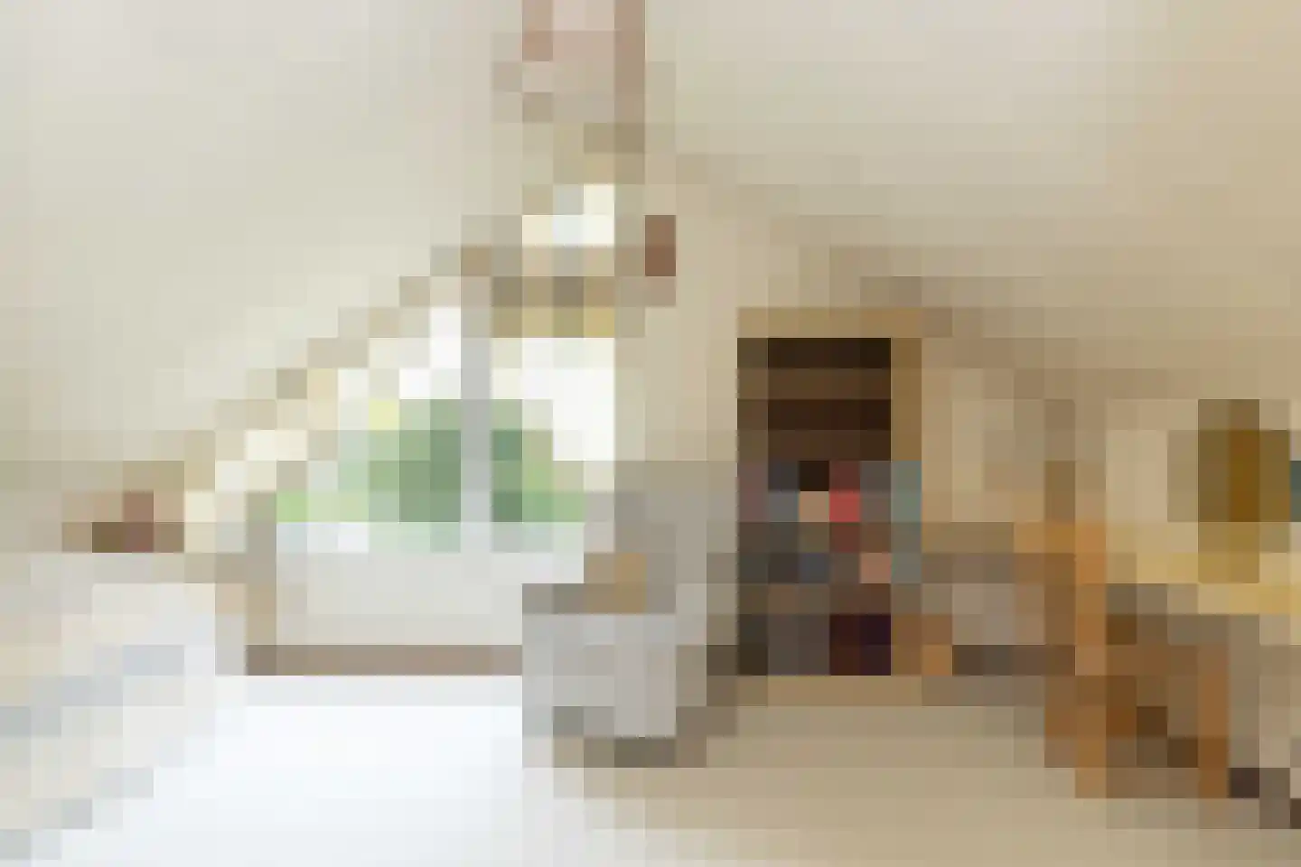 Einsteinlaan 16 Hoogeveen thumbnail 31