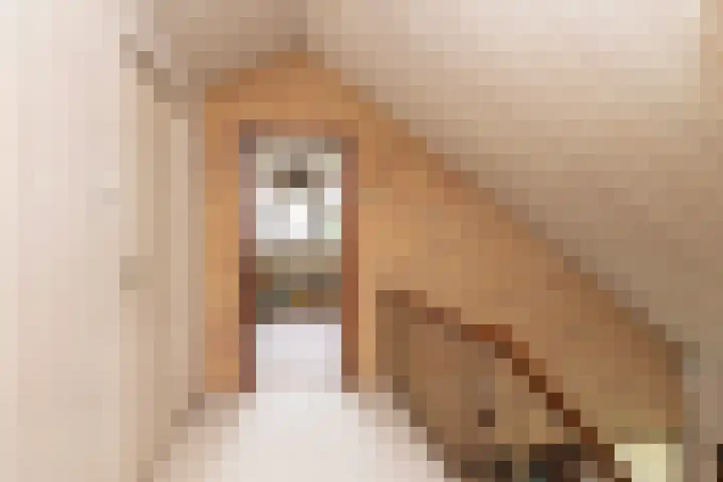 Einsteinlaan 16 Hoogeveen thumbnail 34