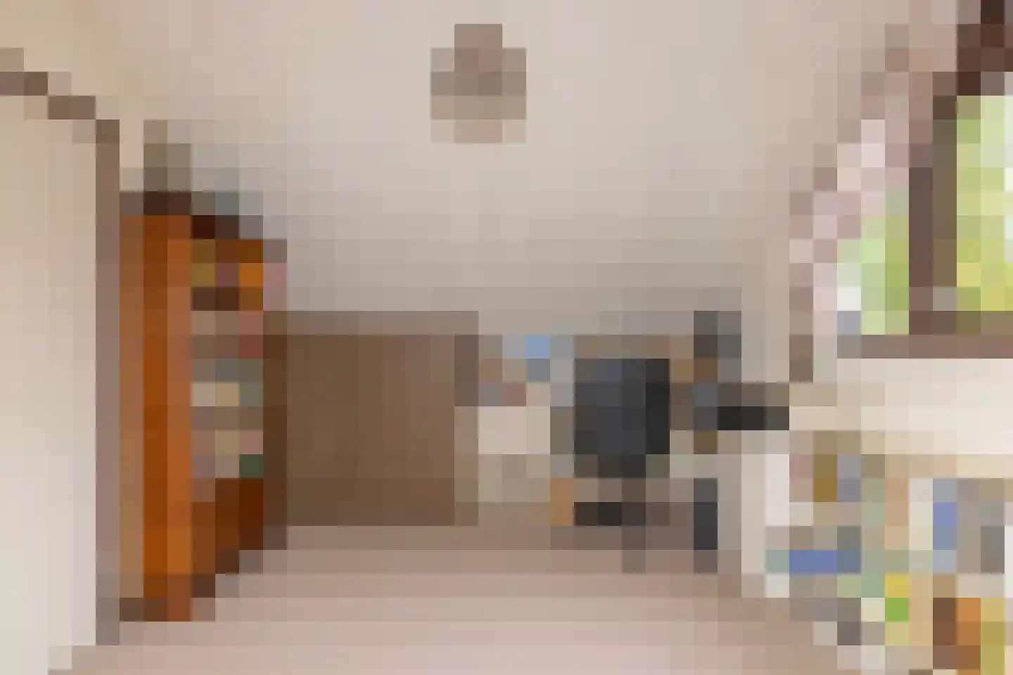 Einsteinlaan 16 Hoogeveen thumbnail 36