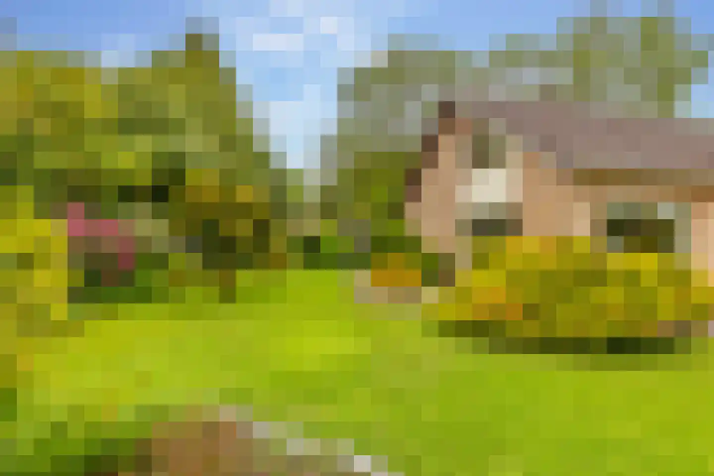 Einsteinlaan 16 Hoogeveen thumbnail 45