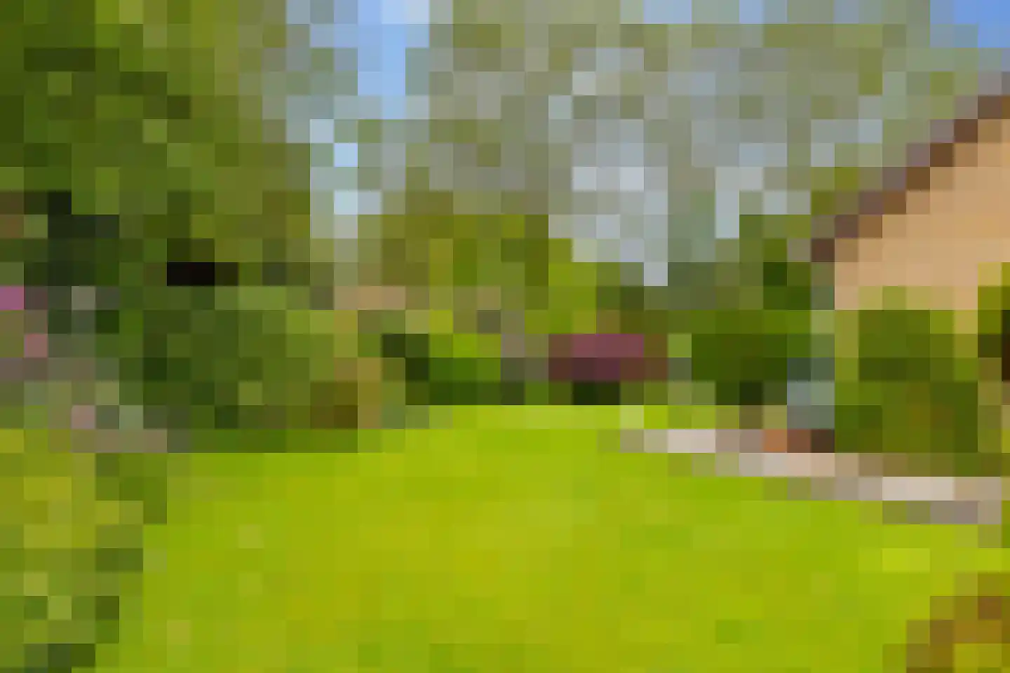 Einsteinlaan 16 Hoogeveen thumbnail 46