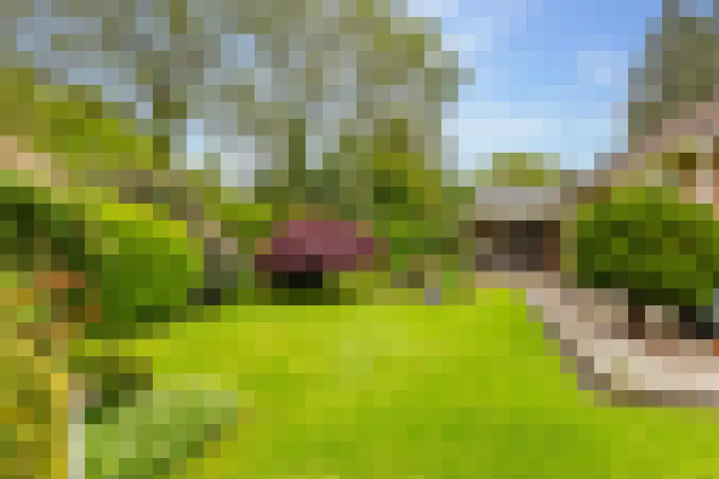 Einsteinlaan 16 Hoogeveen thumbnail 49