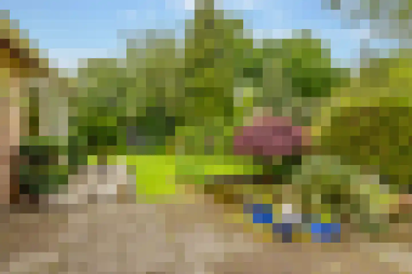 Einsteinlaan 16 Hoogeveen thumbnail 52