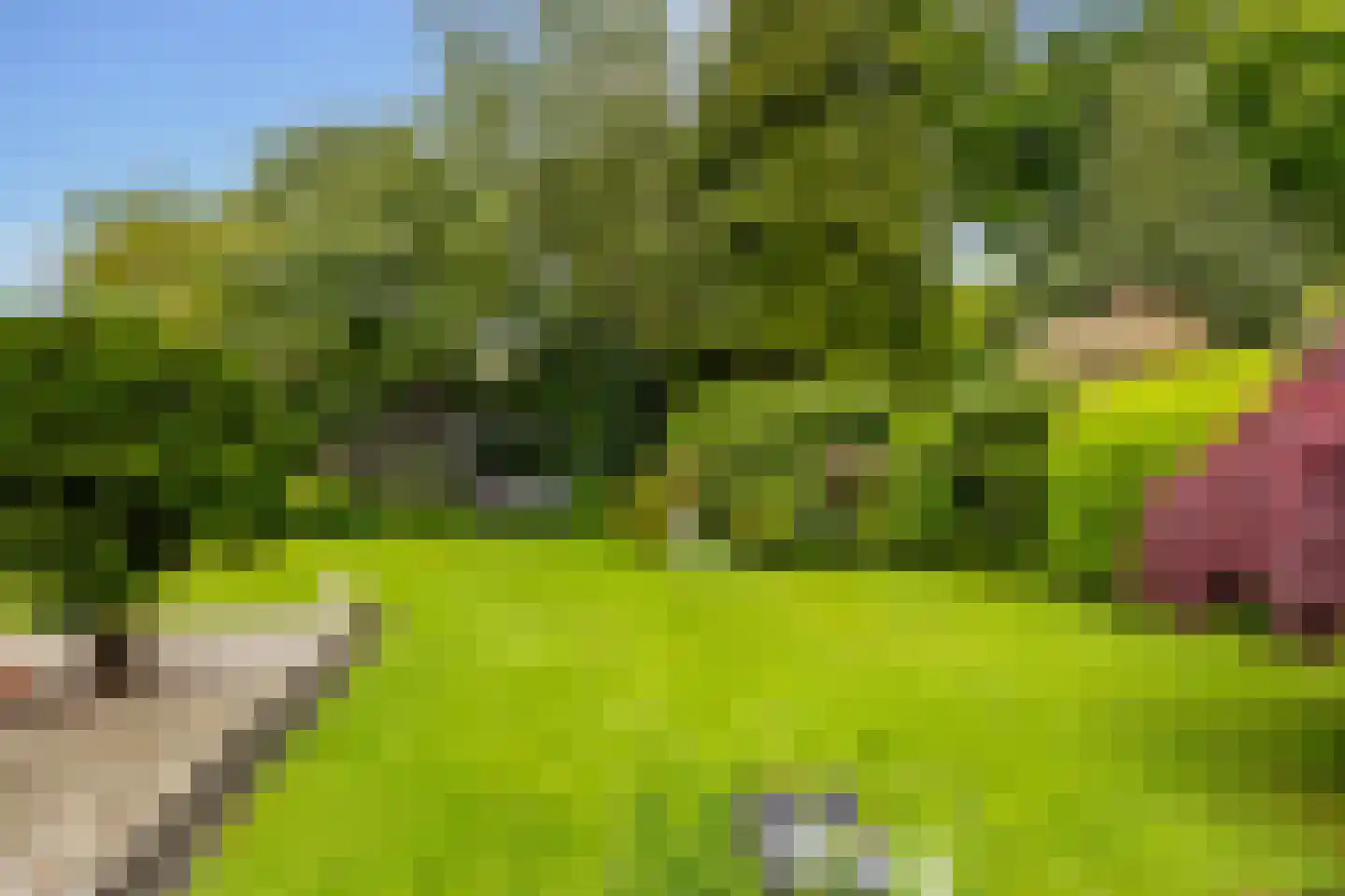 Einsteinlaan 16 Hoogeveen thumbnail 54