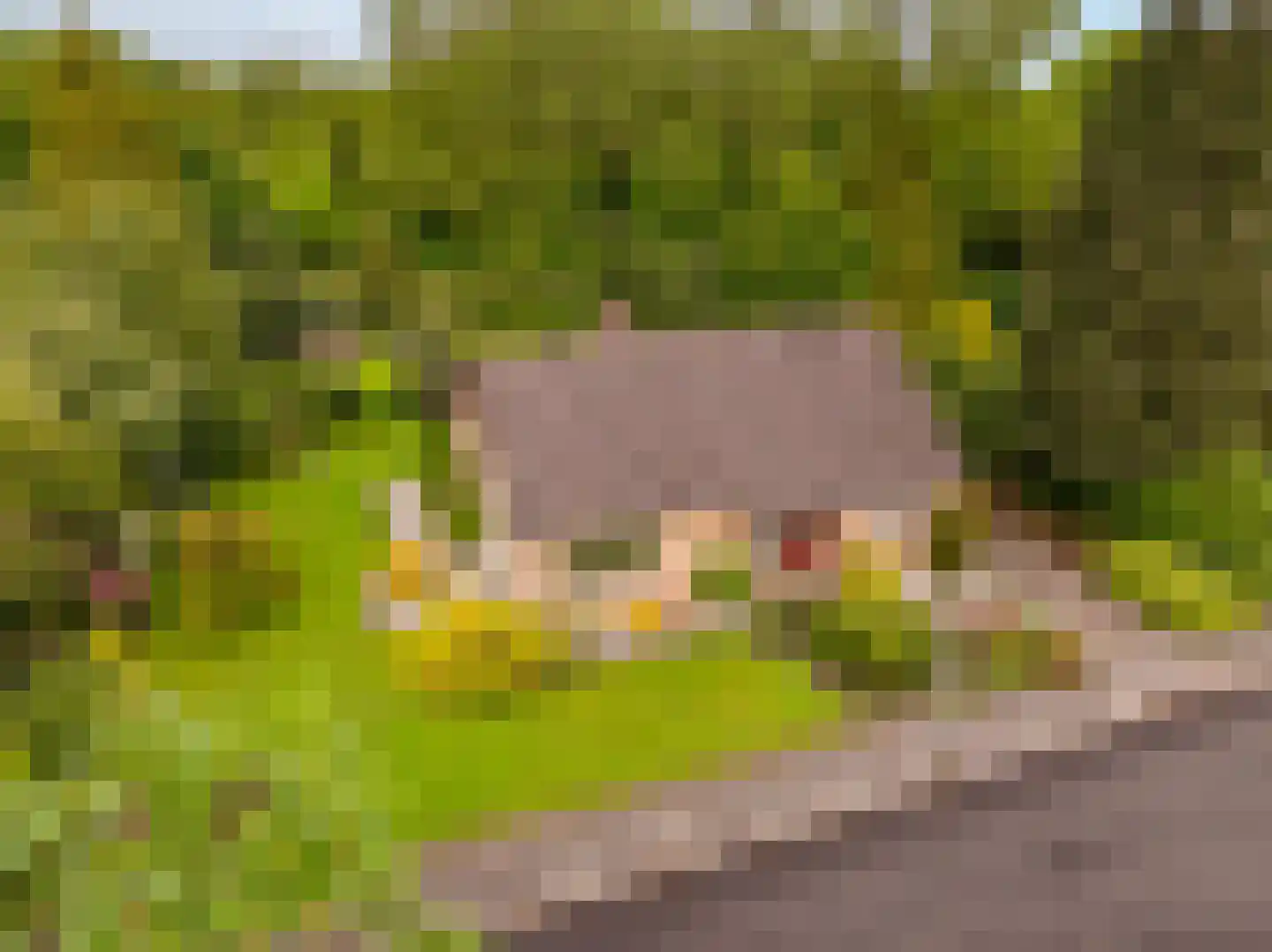 Einsteinlaan 16 Hoogeveen thumbnail 56