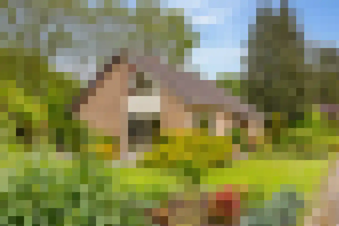 Einsteinlaan 16 Hoogeveen thumbnail 57