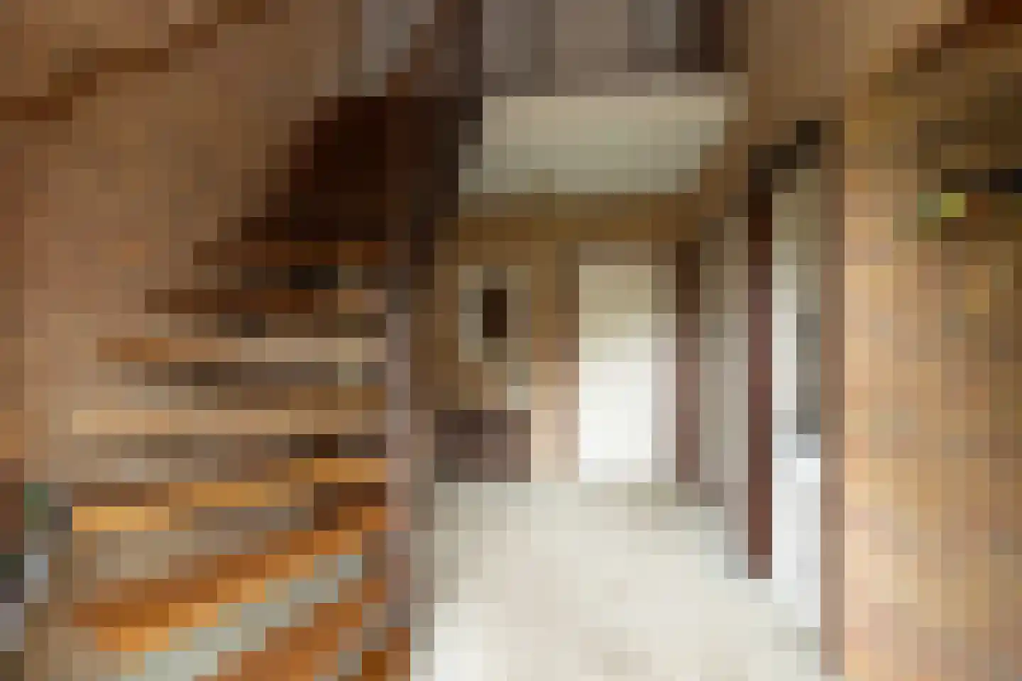 Einsteinlaan 16 Hoogeveen thumbnail 7