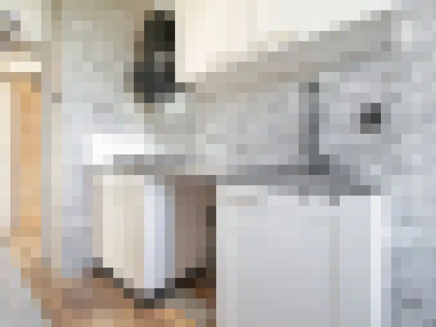 Einsteinlaan 175 Badhoevedorp thumbnail 30