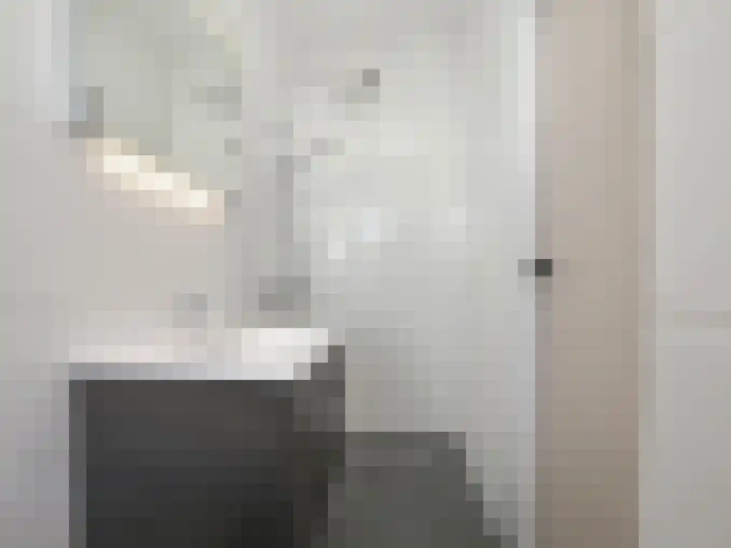 Einsteinlaan 175 Badhoevedorp thumbnail 8