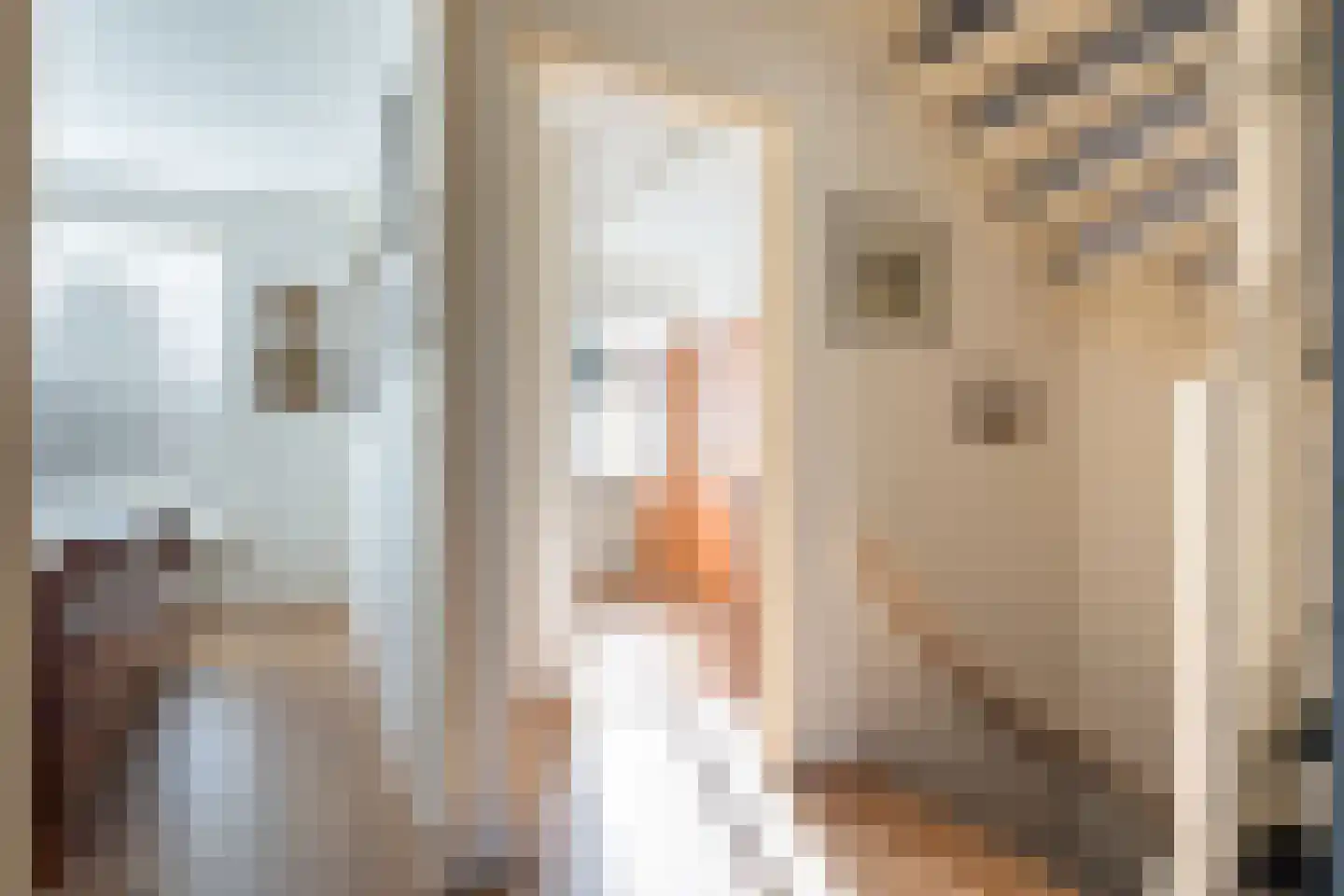 Einsteinlaan 18 Assen thumbnail 14