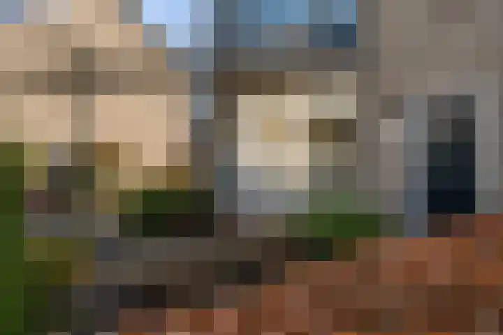 Einsteinlaan 18 Assen thumbnail 41