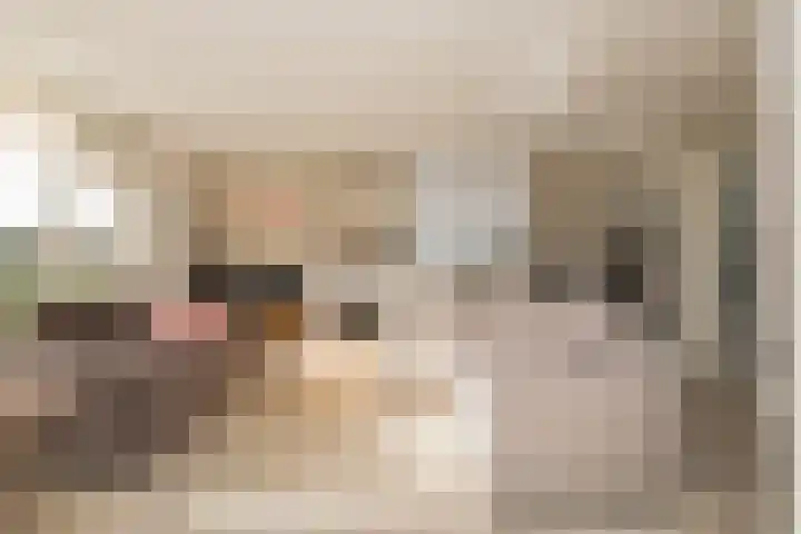 Einsteinlaan 187 Badhoevedorp thumbnail 14