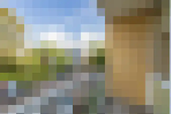 Einsteinlaan 187 Badhoevedorp thumbnail 21