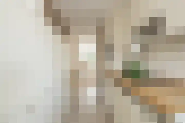 Einsteinlaan 187 Badhoevedorp thumbnail 23
