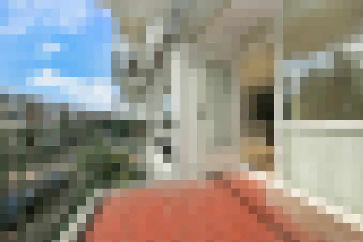 Einsteinlaan 19 Badhoevedorp thumbnail 34