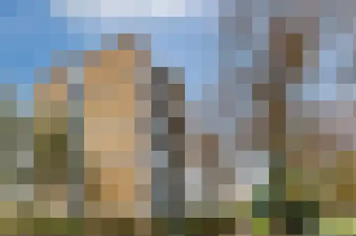 Einsteinlaan 207 Badhoevedorp thumbnail 46