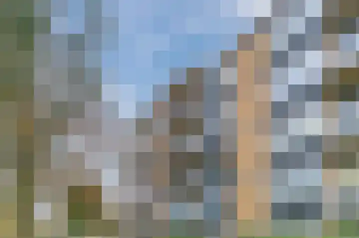 Einsteinlaan 207 Badhoevedorp thumbnail 47