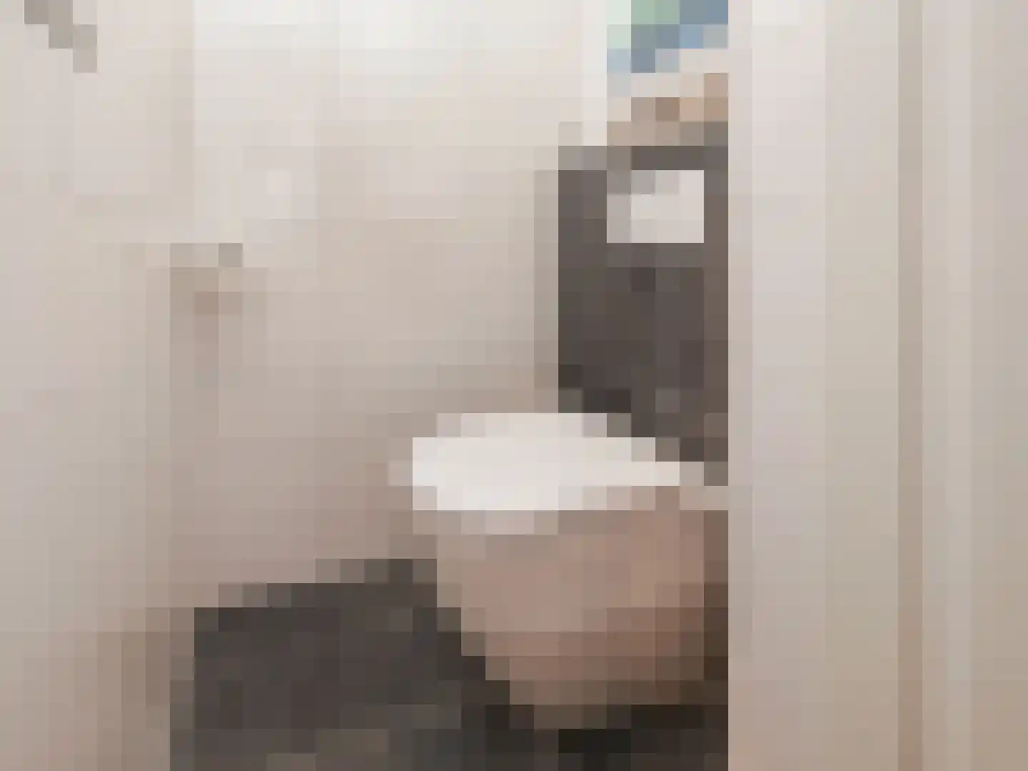 Einsteinlaan 215 Badhoevedorp thumbnail 35