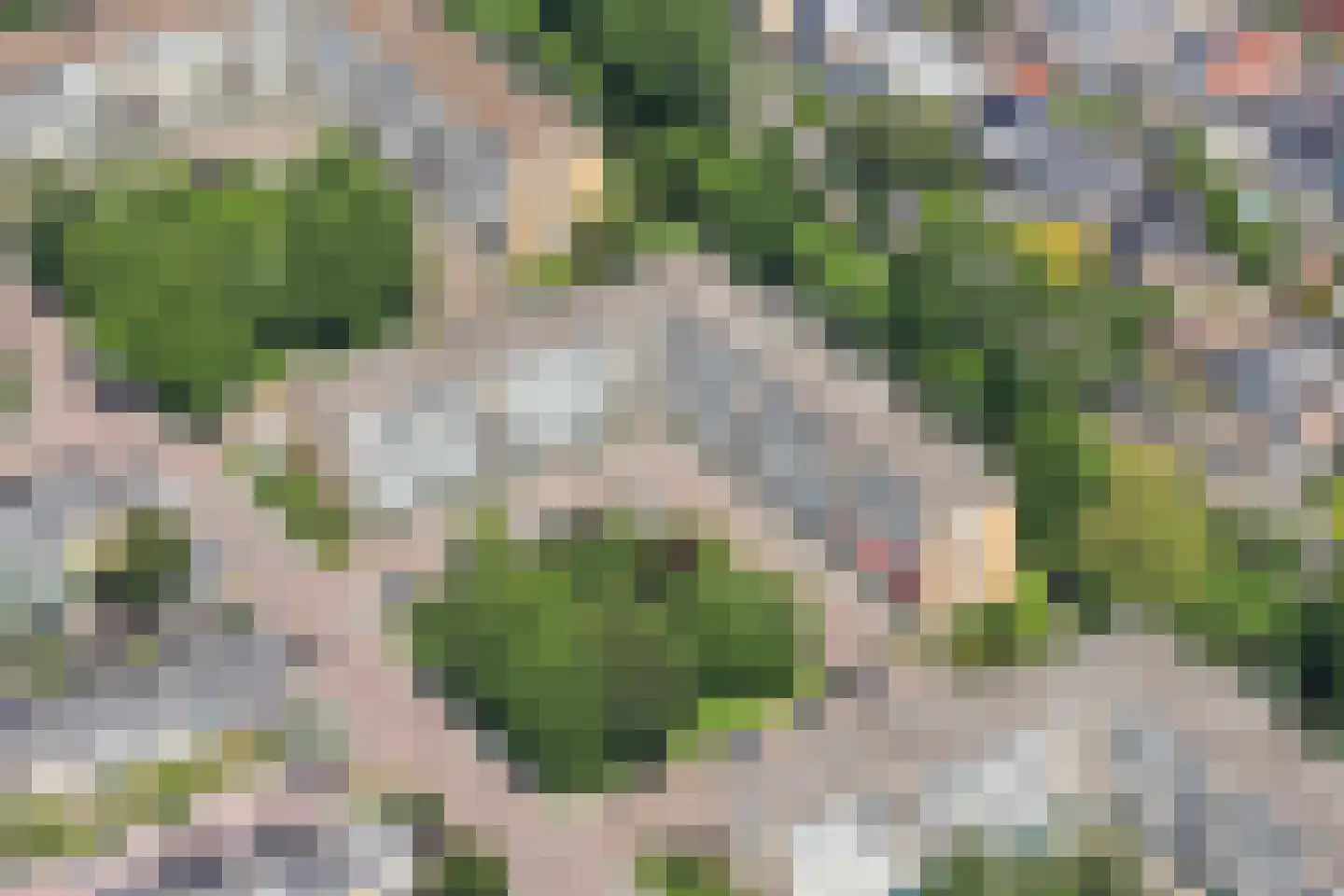 Einsteinlaan 215 Badhoevedorp thumbnail 38