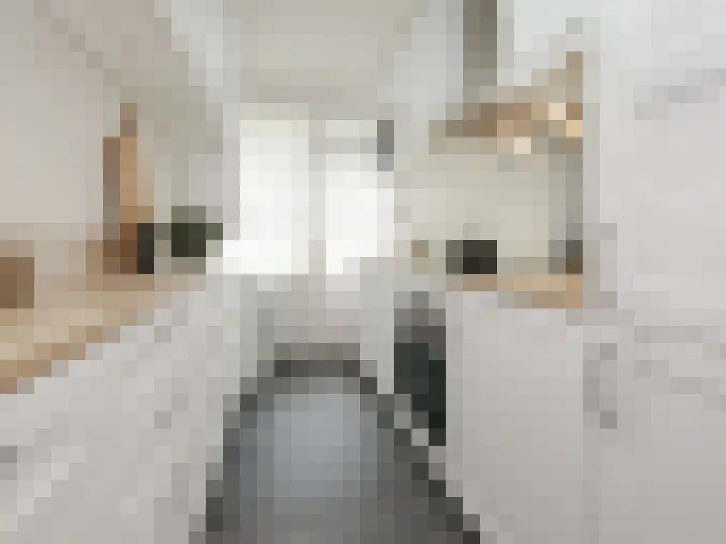 Einsteinlaan 215 Badhoevedorp thumbnail 5