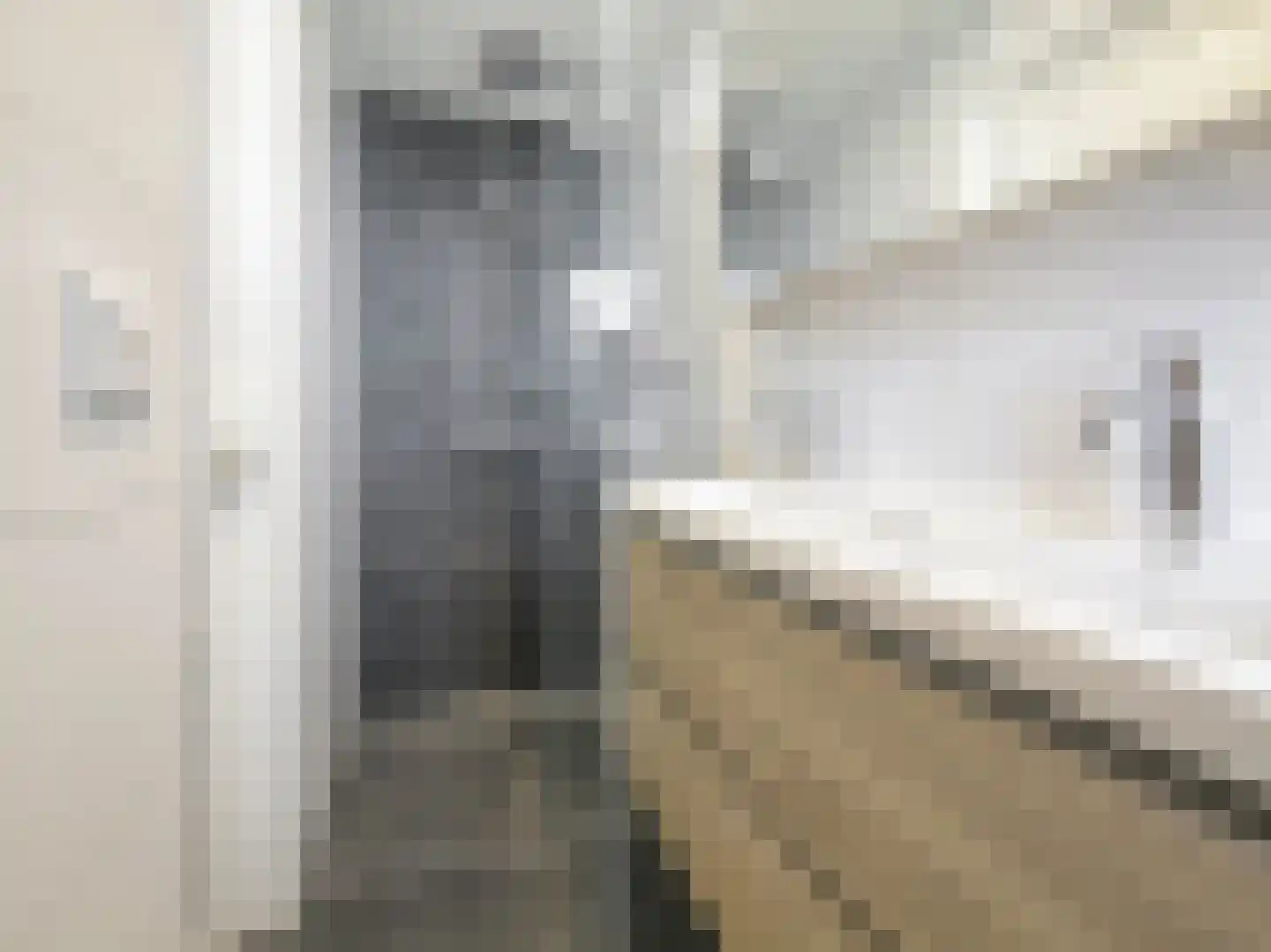 Einsteinlaan 215 Badhoevedorp thumbnail 8