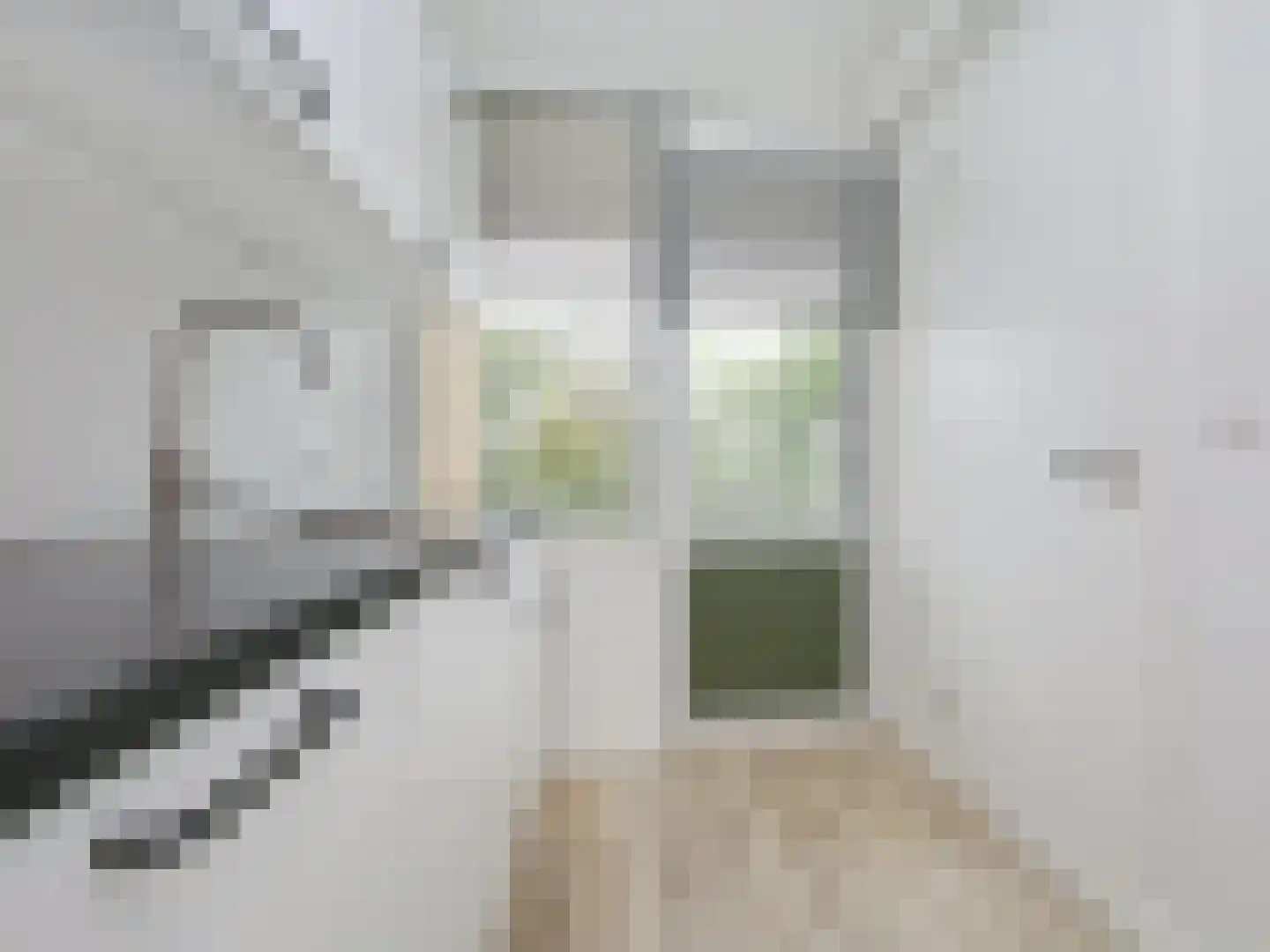 Einsteinlaan 227 Badhoevedorp thumbnail 19