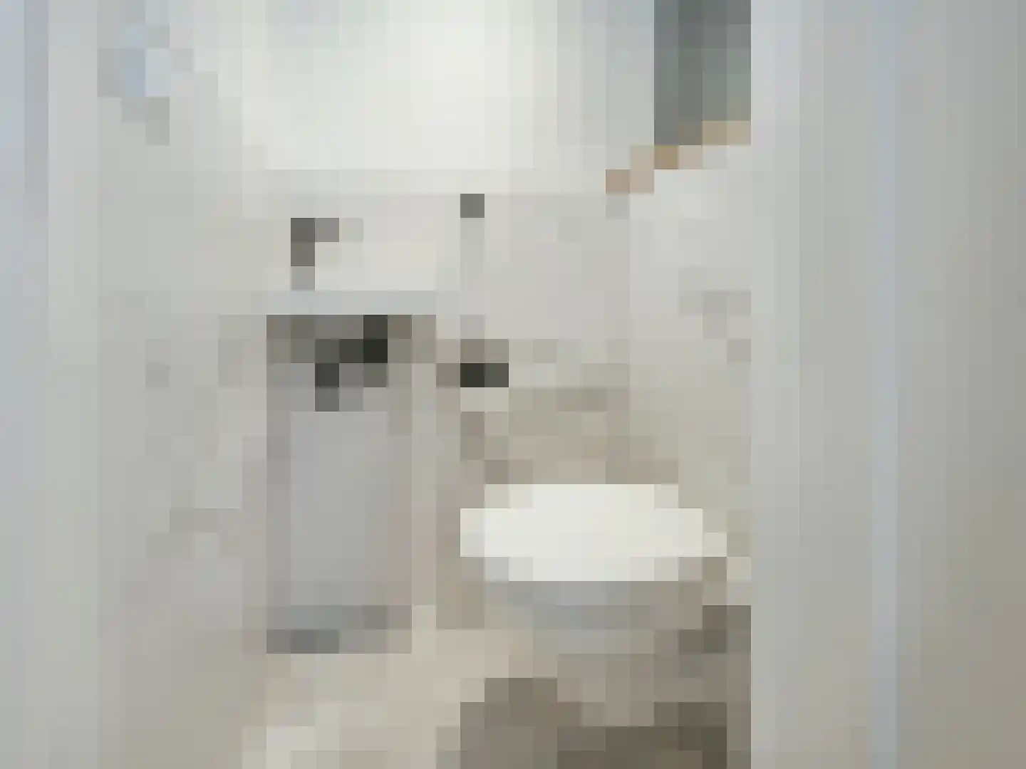 Einsteinlaan 227 Badhoevedorp thumbnail 29