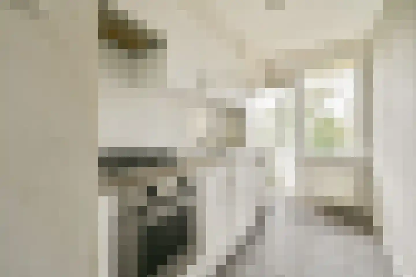 Einsteinlaan 235 Badhoevedorp thumbnail 10