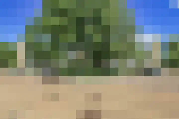Einsteinlaan 251 Badhoevedorp thumbnail 13