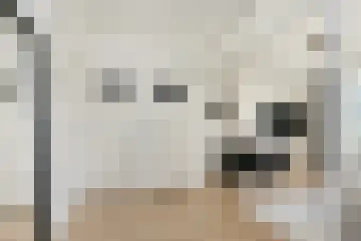 Einsteinlaan 251 Badhoevedorp thumbnail 4