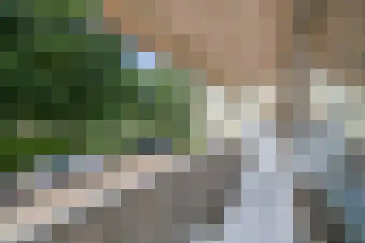 Einsteinlaan 289 Badhoevedorp thumbnail 17
