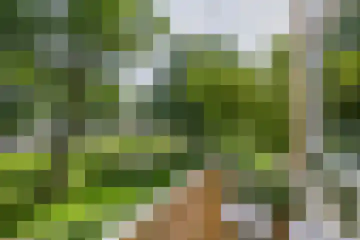 Einsteinlaan 289 Badhoevedorp thumbnail 20