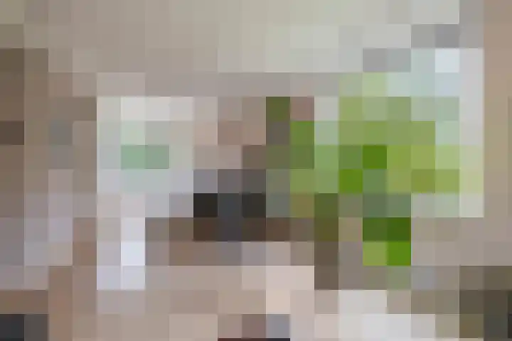 Einsteinlaan 289 Badhoevedorp thumbnail 5