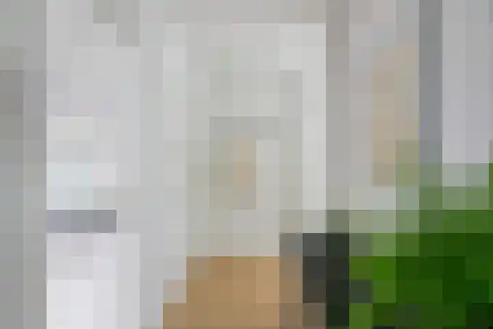 Einsteinlaan 299 Badhoevedorp thumbnail 14