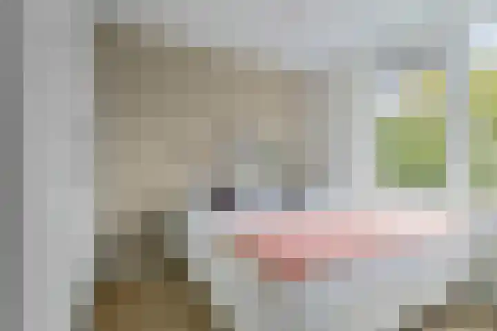 Einsteinlaan 299 Badhoevedorp thumbnail 21