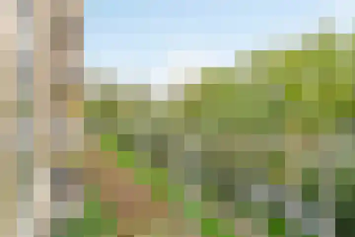 Einsteinlaan 299 Badhoevedorp thumbnail 30