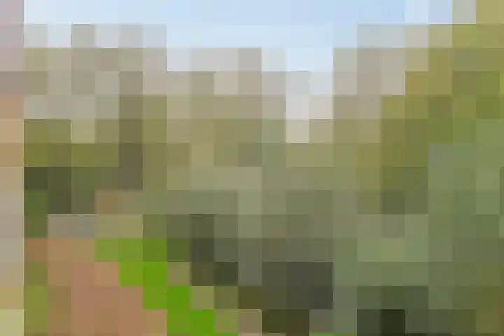 Einsteinlaan 299 Badhoevedorp thumbnail 31