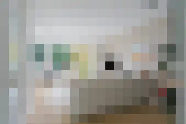 Einsteinlaan 299 Badhoevedorp thumbnail 7