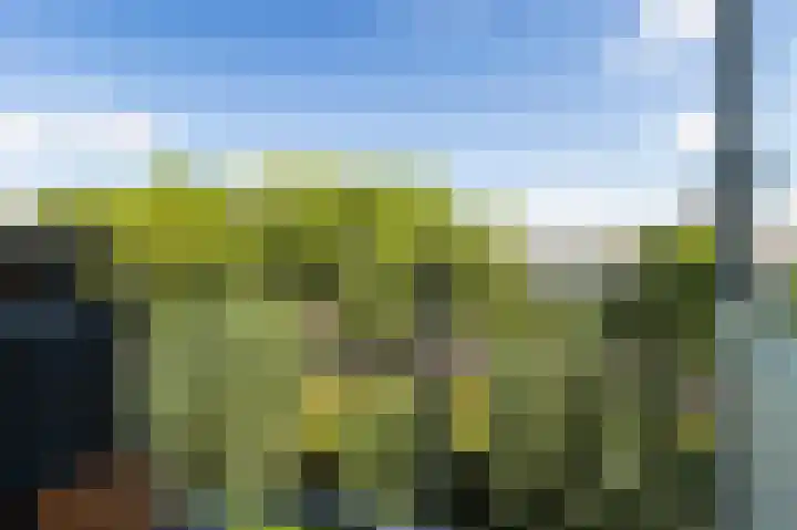 Einsteinlaan 301 Badhoevedorp thumbnail 29