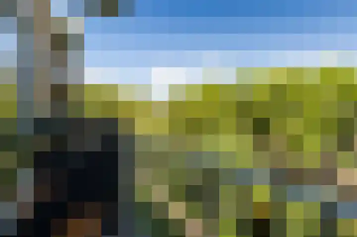 Einsteinlaan 301 Badhoevedorp thumbnail 31