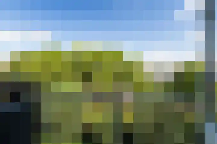Einsteinlaan 301 Badhoevedorp thumbnail 32